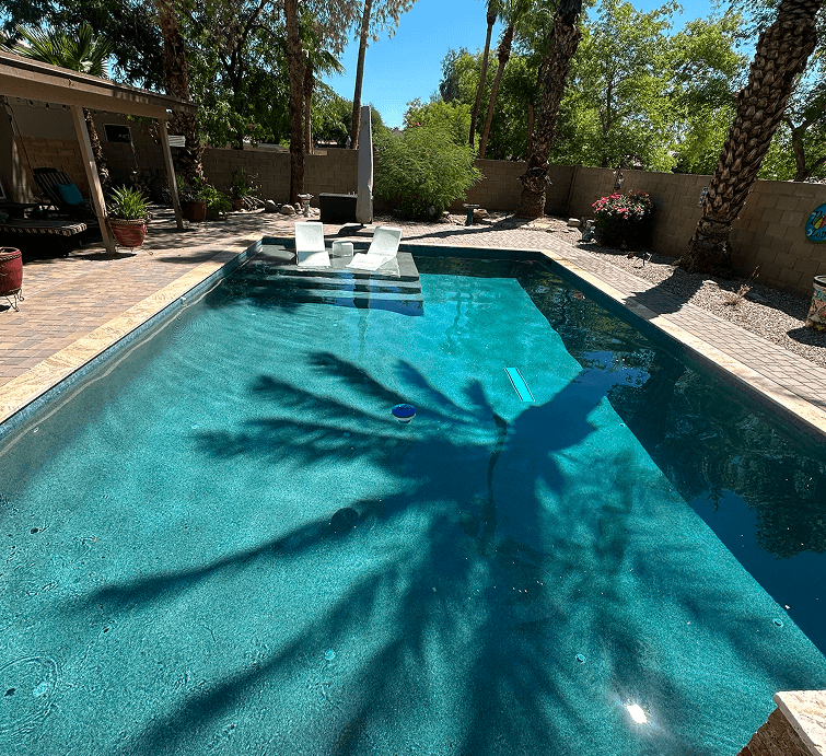 Renovated pool with tanning ledge and palm trees Glendale AZ