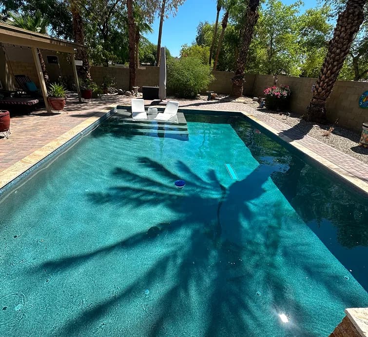 Renovated pool with tanning ledge and palm trees Glendale AZ