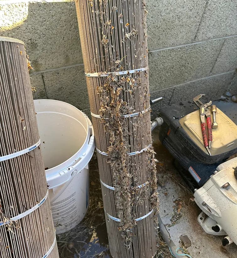 Clogged pool cartridge filter removed for service